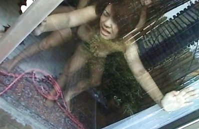 Japanese AV Model busty is wildly nailed on carpet and at window