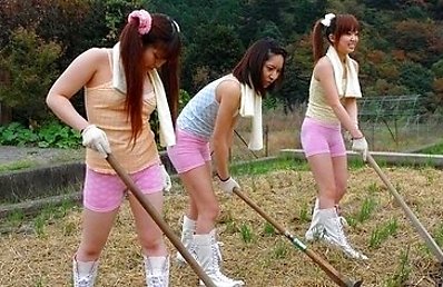 Girls from the city, Nagisa Konno, Hana Otsuka, Maria Hanano went to the countryside to learn that lifestyle and build up some skills. Since their hos